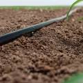 Prácticas De Gestión Sostenible Del Agua Para La Agricultura